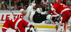 Ducks - Red Wings