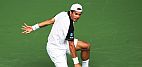 Tommy Haas