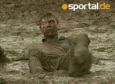 Bizarr: Schlammfußball: Männer im Dreck