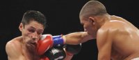 Prügel, Pratzen, Punch Power