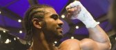 Der Hayemaker ist wieder da