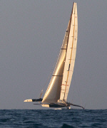 BMW Oracle gewinnt den 33. America's Cup BMW Oracle gewinnt den 33. America's Cup