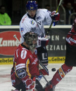 Adler schlagen die DEG Adler schlagen die DEG