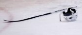 Die Hockey Horror Picture Show