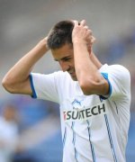 Vedad Ibisevic wechselt zum VfB Stuttgart