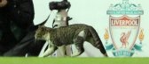 90 Minuten f�r die Katz