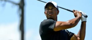 Tiger Woods Golf Players Championship