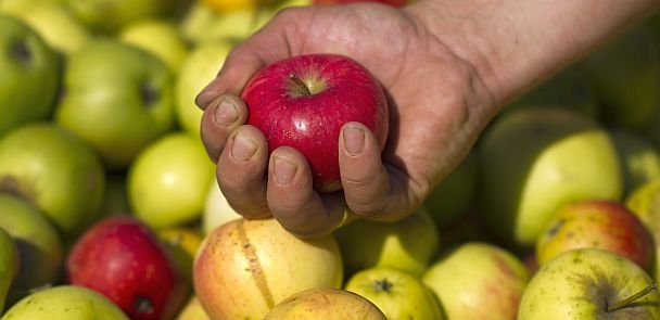 Gefährlicher Saft