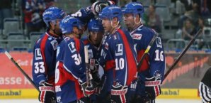 Die Adler Mannheim bejubeln ihren Kantersieg über Straubing Eishockey,Adler Mannheim,Jubel