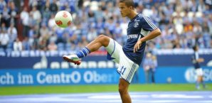 Ibrahim Afellay fühlt sich wohl beim FC Schalke Ibrahim Afellay,FC Schalke,Bundesliga