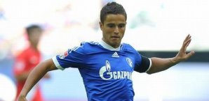 Ibrahim Afellay,Schalke 04