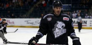 Vitali Aab muss lange aussetzen Vitali Aab,nürnberg,ice,tigers