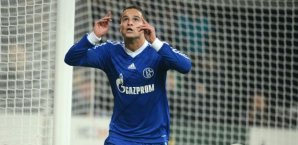 Ibrahim Afellay, Schalke 04