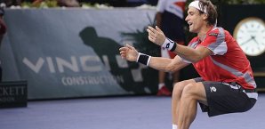 David Ferrer, Tennis, ATP, Masters, Paris, Jubel