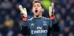Rene Adler, hsv, bundesliga