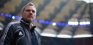 Thorsten Fink, Hamburger Sv