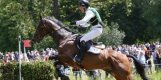 King Artus starb nach einem Riss der Aorta King Artus,Reitsport