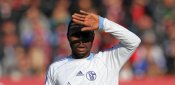 chinedu obasi, fc schalke 04