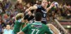 Holger Glandorf,SG Flensburg Handewitt