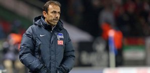 Genervt von Ramos-Spekulationen: Jos Luhukay Jos Luhukay,Hertha BSC,Bundesliga