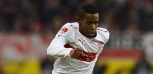 Steht bei den Fohlen angeblich hoch im Kurs: Ibrahima Traore bundesliga,vfb stuttgart,ibrahima traore