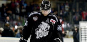 Jason Jaspers bleibt bei den Ice Tigers Jason Jaspers,Thomas Sabo Ice Tigers,DEL,Eishockey