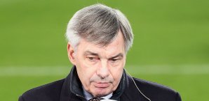 Lässt sich seine Berater-Dienste fürstlich entlohnen: Michael Meier hsv,michael meier