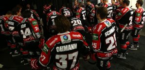 kölner,haie,krefeld,pinguine