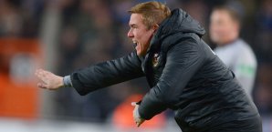 Olaf Janßen wurde bei Dynamo Dresden entlassen Olaf Janßen, Dynamo Dresden