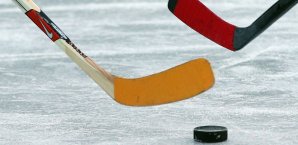 Die Iserlohn Roosters trennen sich von acht Spielern Eishockey