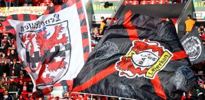 Fans, Leverkusen