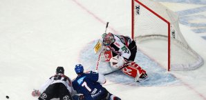 Die Kölner Haie kriseln in diesem Jahr vor sich hin Kölner Haie, DEL, Adler Mannheim