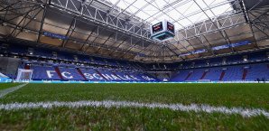 Schalke bekommt erneut einen neuen Rasen Schalke