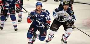 Mannheim unterlag Titelverteidiger Ingolstadt mit 6:1 Adler Mannheim, ERC Ingolstadt