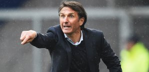 Bruno Labbadia soll die Hanseaten aus dem Abstiegskampf führen Bruno Labbadia, Hamburger SV