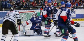 Der ERC Ingolstadt hat die Siegesserie von Mannheim gestoppt ERC Ingolstadt