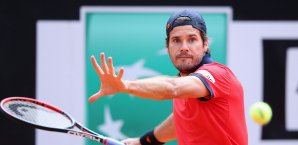 Tommy Haas muss sein Comeback einmal mehr verschieben Tommy Haas, Deutschland