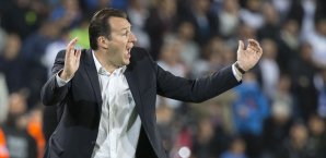 Kehrt Marc Wilmots als Trainer zurück in seine königsblaue Vergangen Bundesliga, Schalke 04