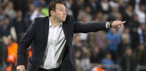 Marc Wilmots kann sich offenbar den Job auf Schalke vorstellen Marc Wilmots
