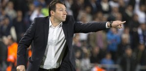 Marc Wilmots