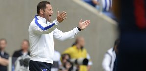 Pal Dardai will die Erwartungen drosseln Pal Dardai