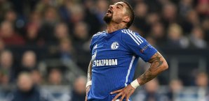 Kevin-Prince Boateng zieht es wohl in die Wüste Bundesliga, Schalke 04