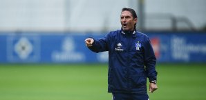 Bruno Labbadia springt Emir Spahic zur Seite Hamburger SV