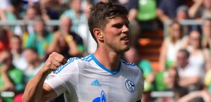 Klaas-Jan Huntelaar steht Schalke gegen Darmstadt zur Verfügung Klaas-Jan Huntelaar