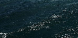 Die Hoffnung auf der Suche nach Freitaucherin Natlja Moltschanowa schwindet Wasser