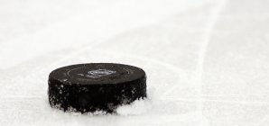 Die Kölner Haie haben einen neuen Sportdirektor Eishockey