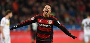 Chicharito hat bei Bayer Leverkusen voll eingeschlagen Chicharito