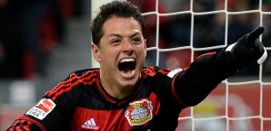 Chicharito trifft auch im Trainingslager Chicharito