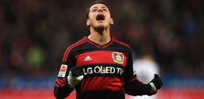Chicharito trifft und trifft und trifft Chicharito