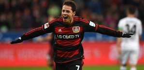 Chicharito war ein Glücksgriff für Leverkusen Chicharito
